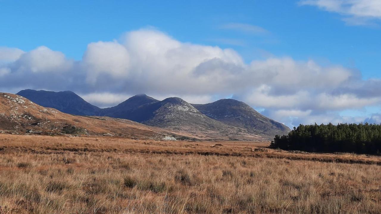 Clifden Wildflower Cottage - Clifden Countryside Lettings מראה חיצוני תמונה
