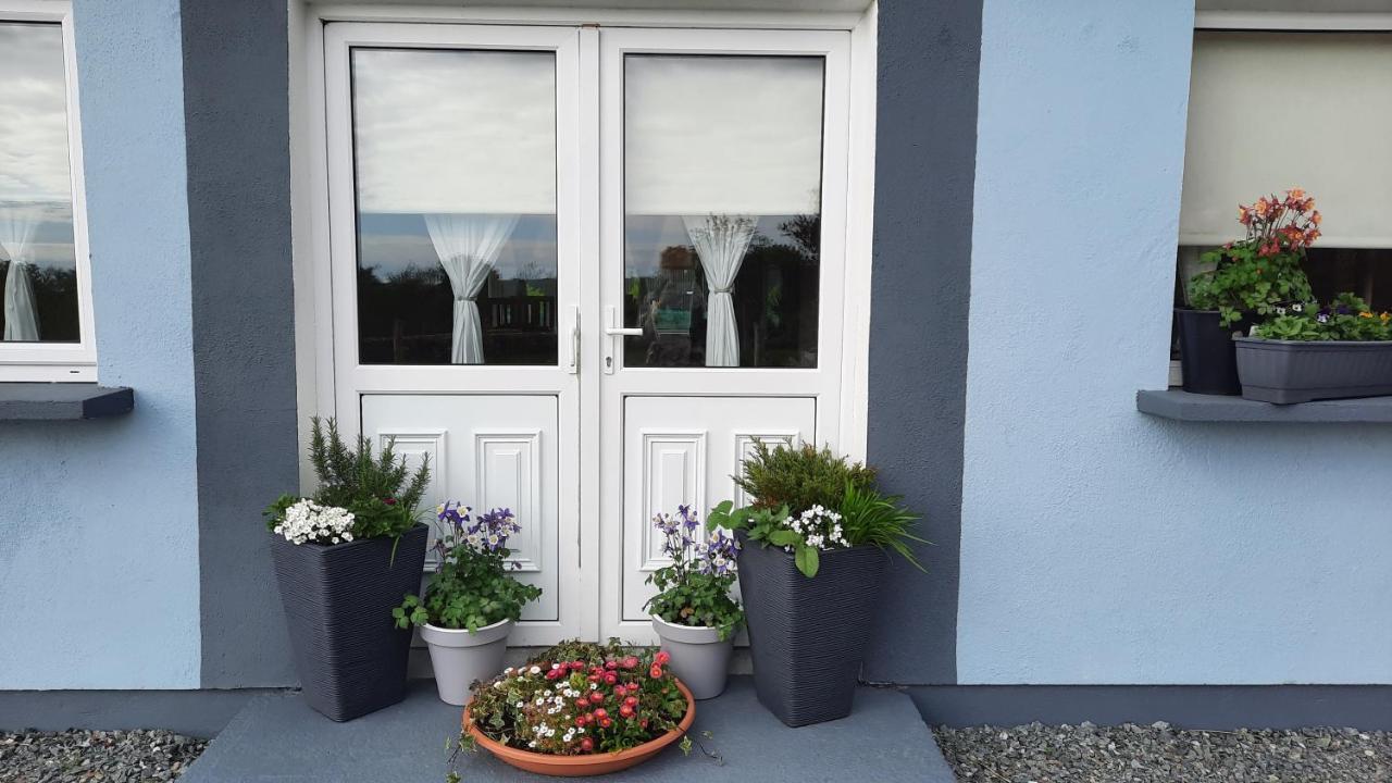 Clifden Wildflower Cottage - Clifden Countryside Lettings מראה חיצוני תמונה