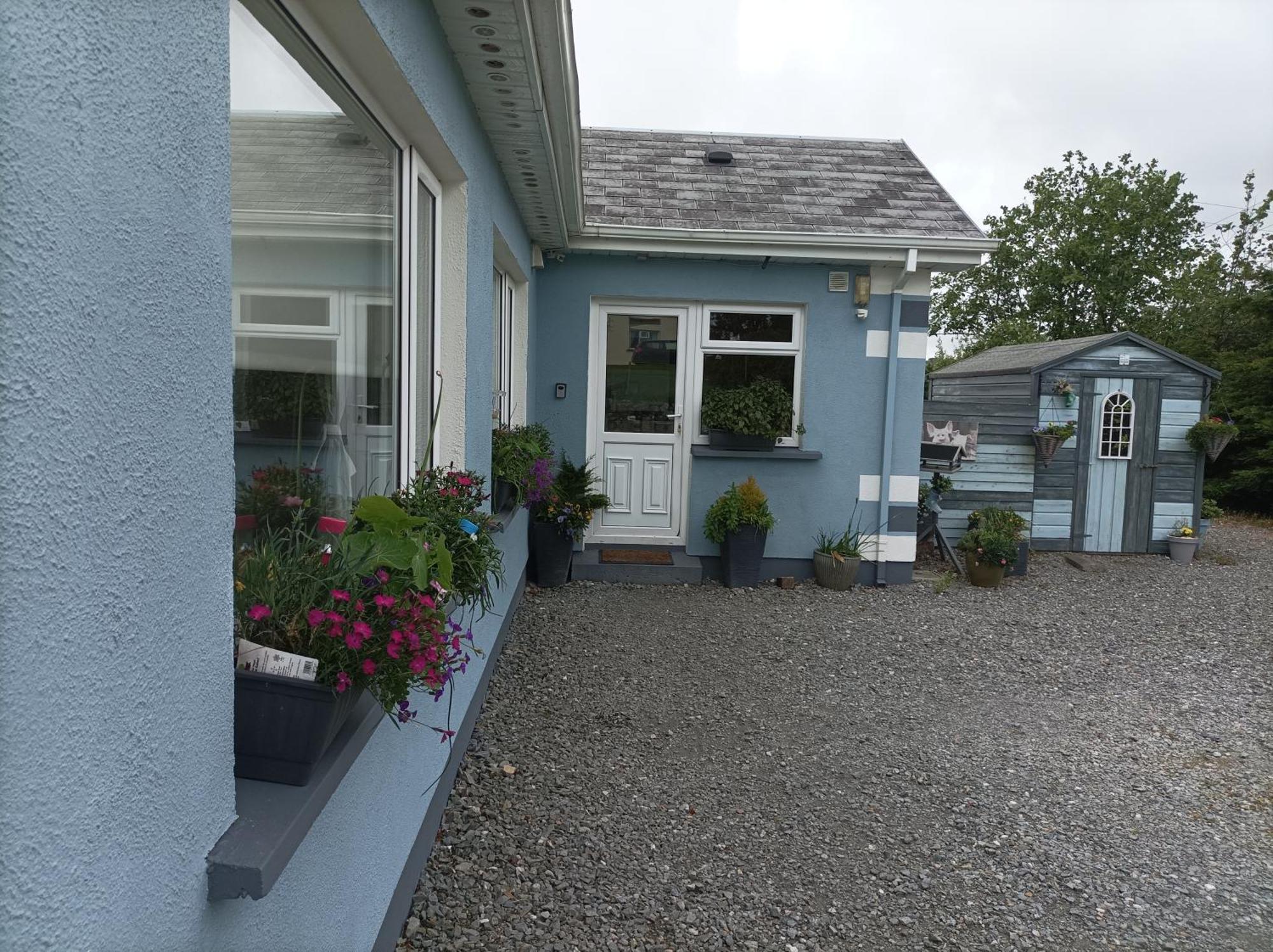 Clifden Wildflower Cottage - Clifden Countryside Lettings מראה חיצוני תמונה