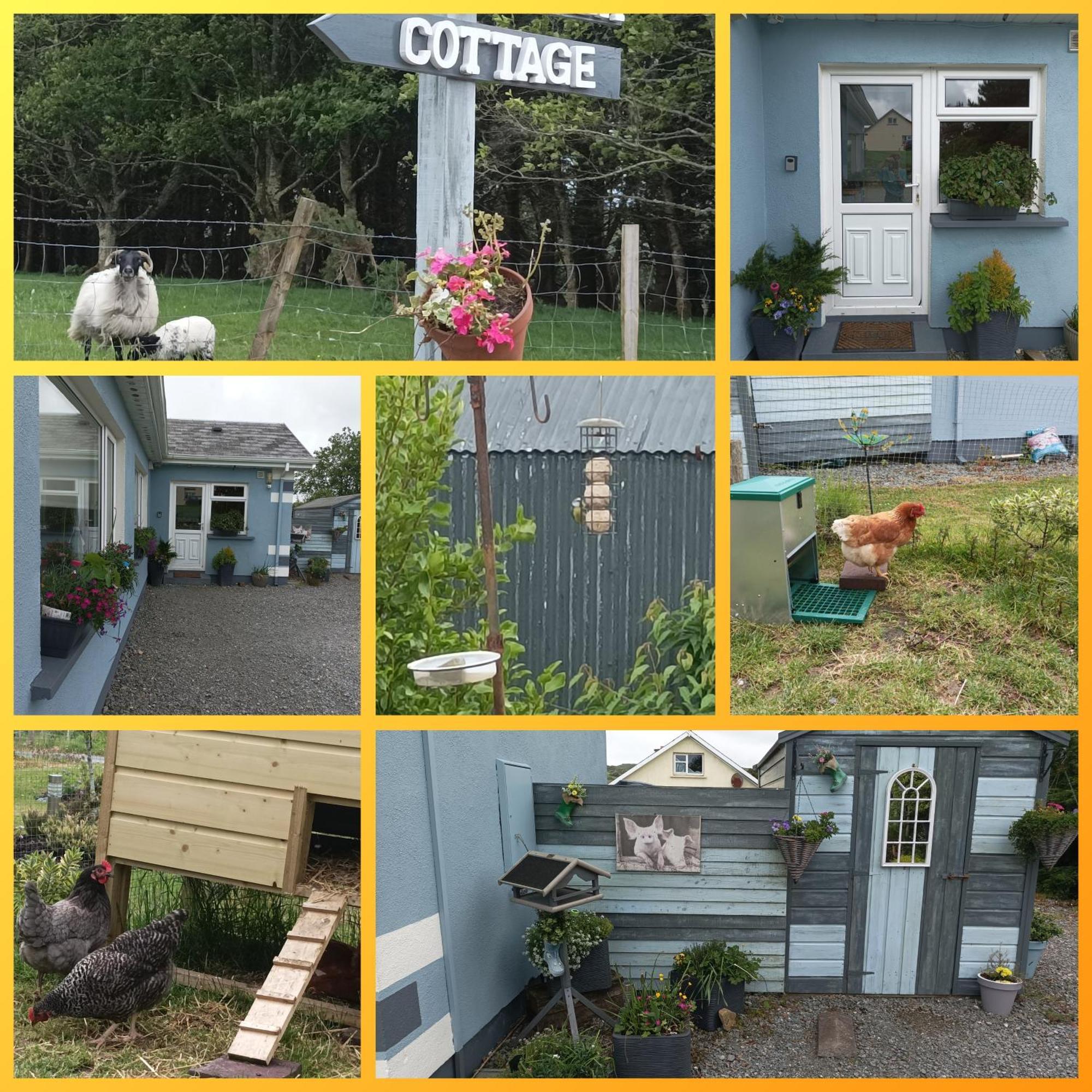 Clifden Wildflower Cottage - Clifden Countryside Lettings מראה חיצוני תמונה